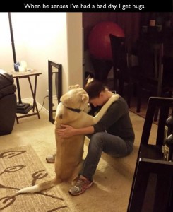 hond knuffel